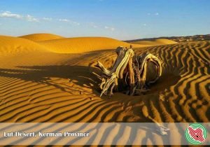 Lut Desert, Shahdad & Kaluts