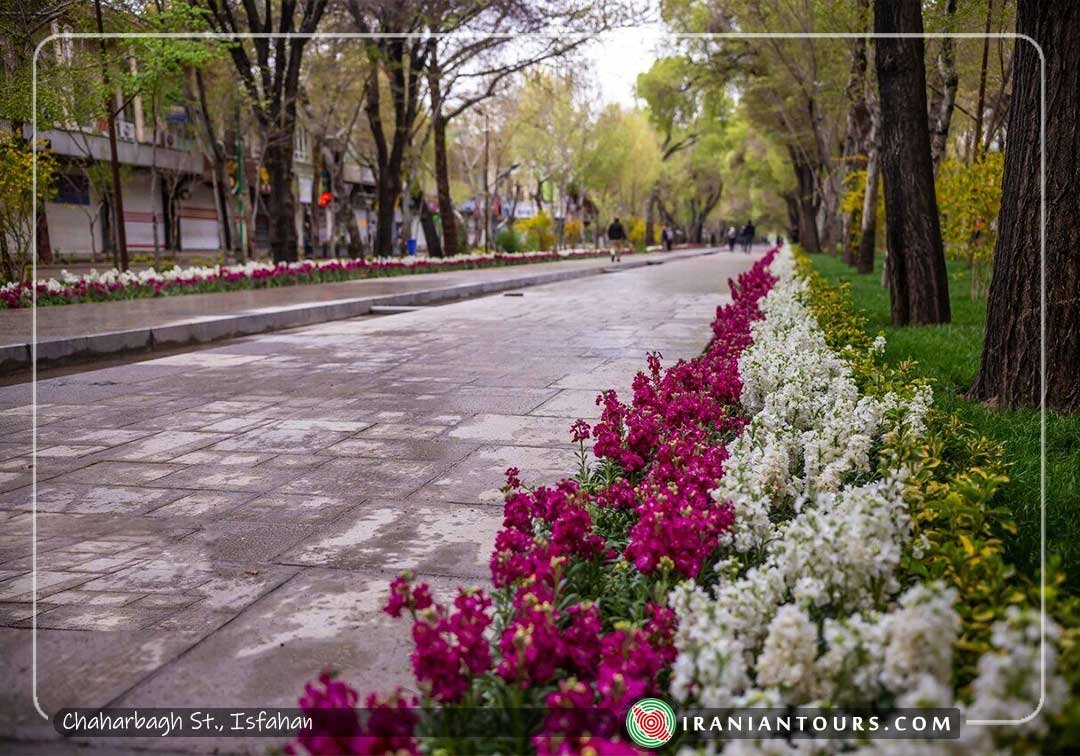 ChaharBagh Street | Iran Tour and Travel with IranianTours