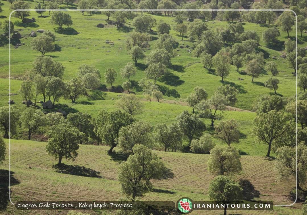 Kohgiluyeh & Boyerahmad Province